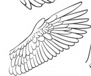 初心者向け 超簡単にかっこいい翼が描けるコツは３つだけ イラスト