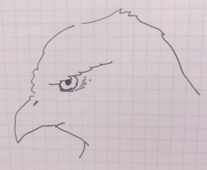 初心者向け イケメンな鷹のイラストの描き方って 簡単に分かりやすく